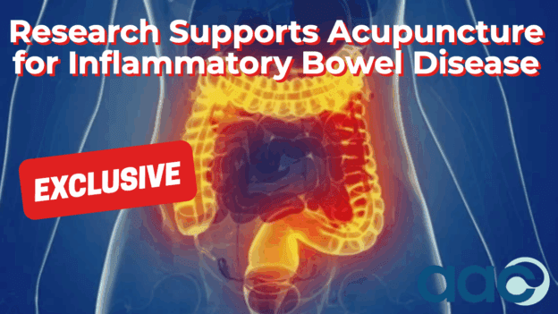Research Supports Acupuncture for Inflammatory Bowel Disease