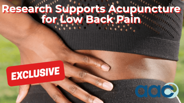 Research Supports Acupuncture for Low Back Pain