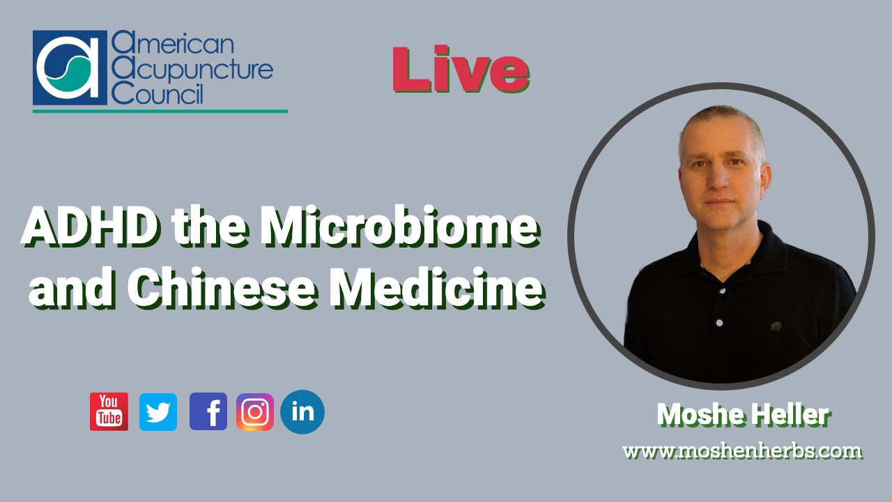 Illustration of the gut-brain axis representing ADHD microbiome research and Chinese medicine