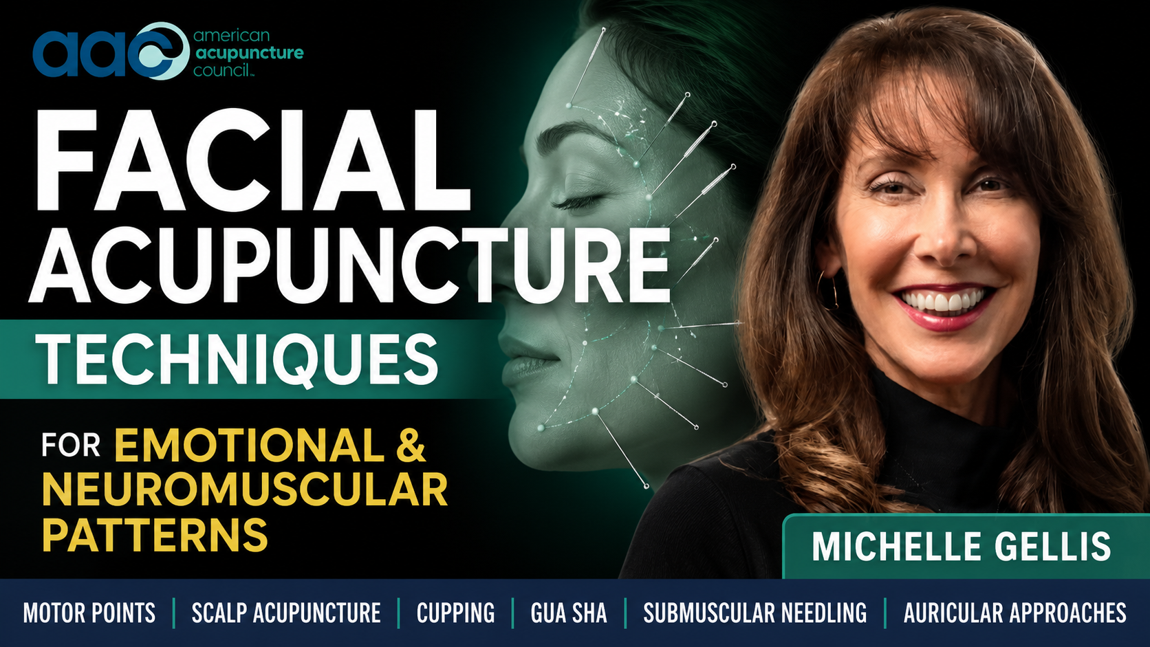 Michelle Gellis presenting facial acupuncture techniques for facial and emotional patterns